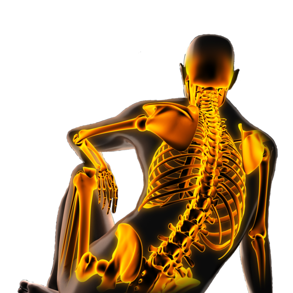 Naturheilpraxis Chiropraktik Osteopathie Zentrum Ebersberg München Naturheilpraxis Chiropraktik Osteopathie Zentrum Ebersberg München